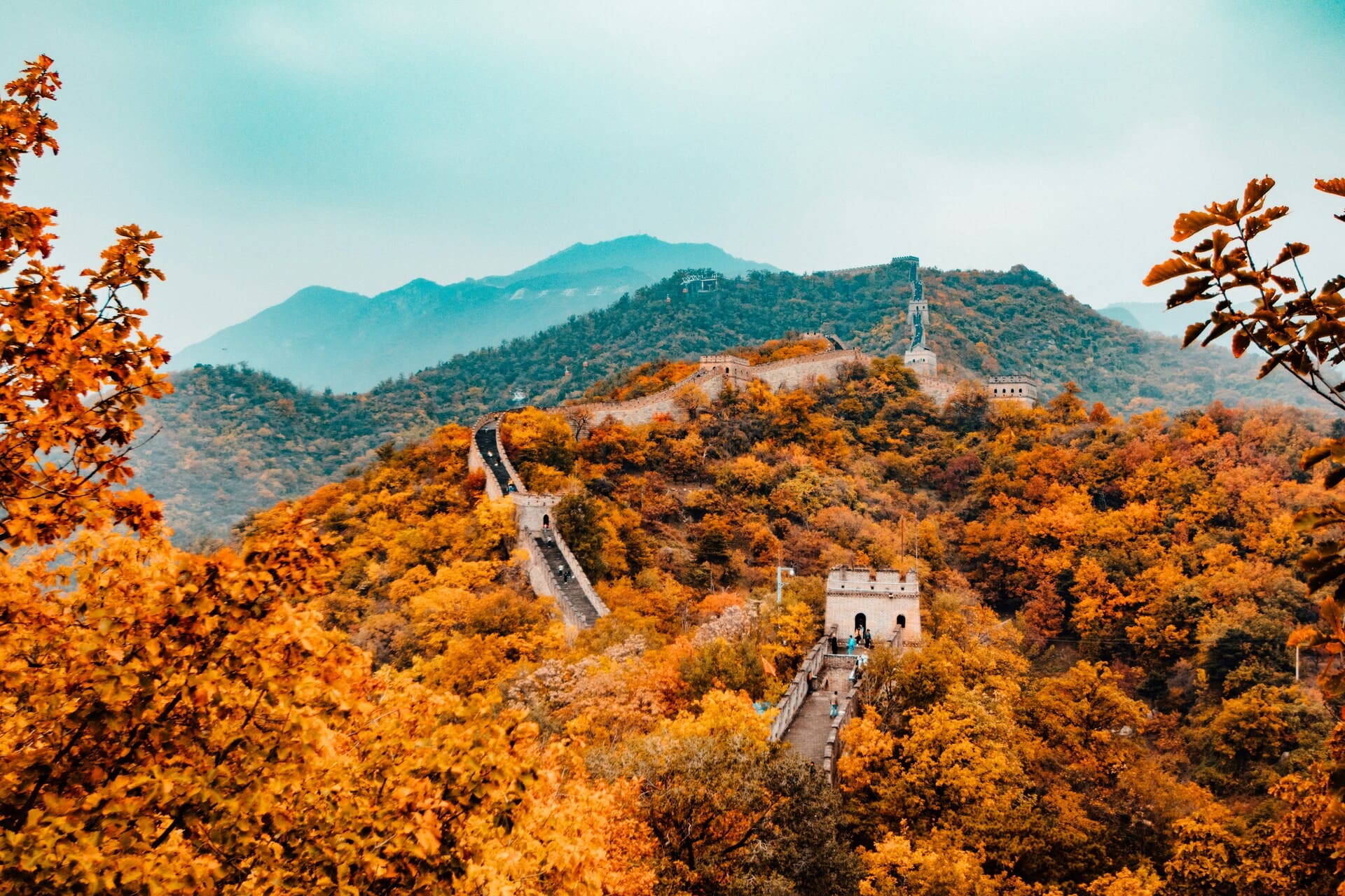 Golden Great Wall in autumn