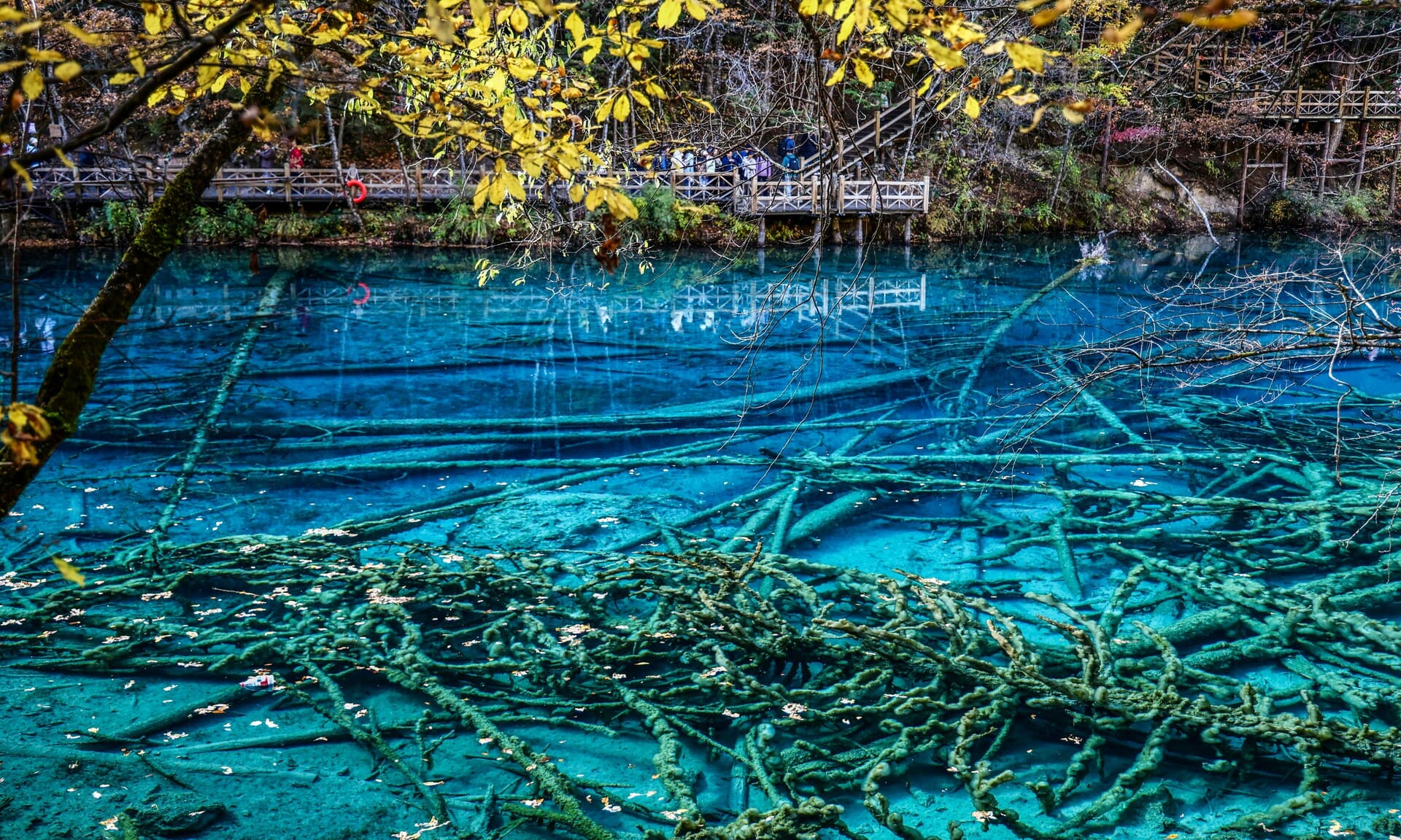 Four seasonal Chinese attractions: Jiuzhaigou's turquoise lake in spring, Zhangye Danxia rainbow mountains in summer, golden Great Wall in autumn, Harbin ice castle in winter
